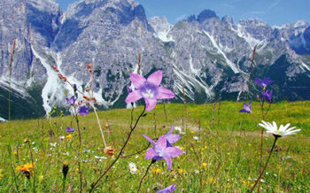 Stubai-Alm_Pressmind