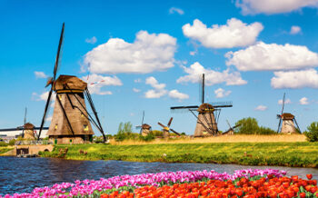 Image_Flusskreuzfahrt_Rhein_Tulpenfeld_Windmuehle_Kinderdijk_Holland_Pressmind