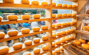 Image_Niederlande_Holland_Gouda_Pressmind