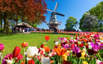 Image_Niederlande_Holland_Keukenhof_Pressmind