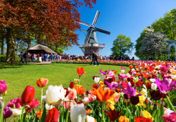 Image_Niederlande_Holland_Keukenhof_Pressmind