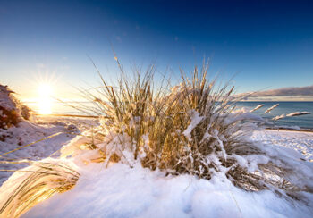 Image_Weihnachtsreisen_Duehnengras_mit_Schnee_Ostsee_Pressmind