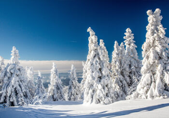 Image_Weihnachtsreisen_Winter_Boehmerwald_Pressmind