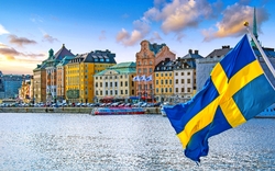 Stockholm, Wildleder