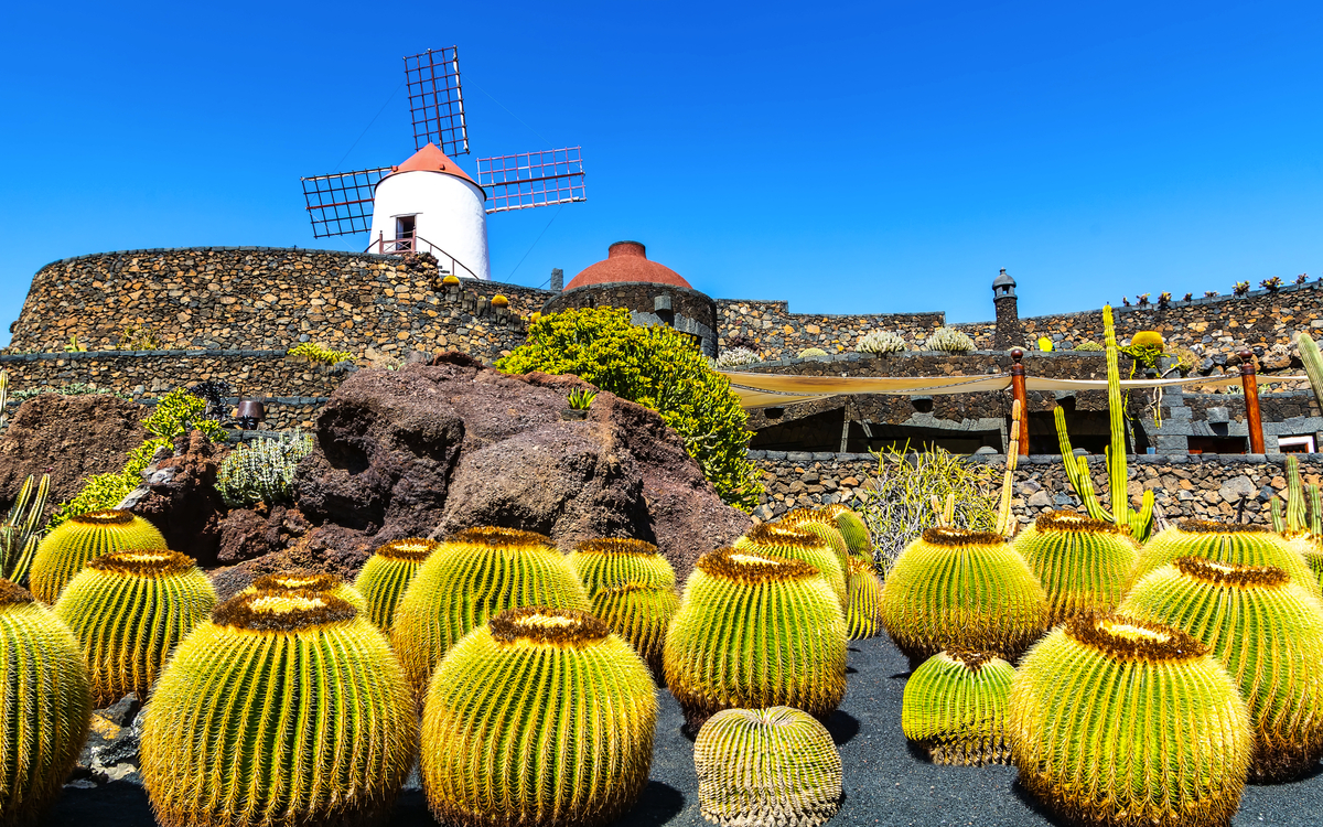 Kaktusgarten (Jardin de Cactus) im Dorf Guatiza auf Lanzarote