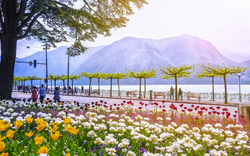 Promenade in Lugano im Kanton Tessin in der Schweiz