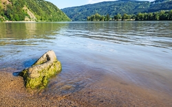Ufer an der Donau