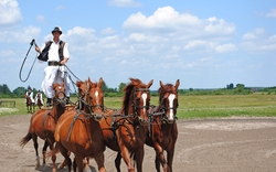 Reiter in der Puszta