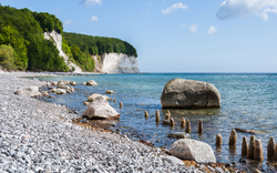 Küstenstreifen unterhalb der Kreidefelsen auf Rügen im Nationalpark Jasmund