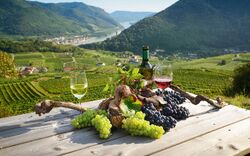 Rotwein und Weißwein