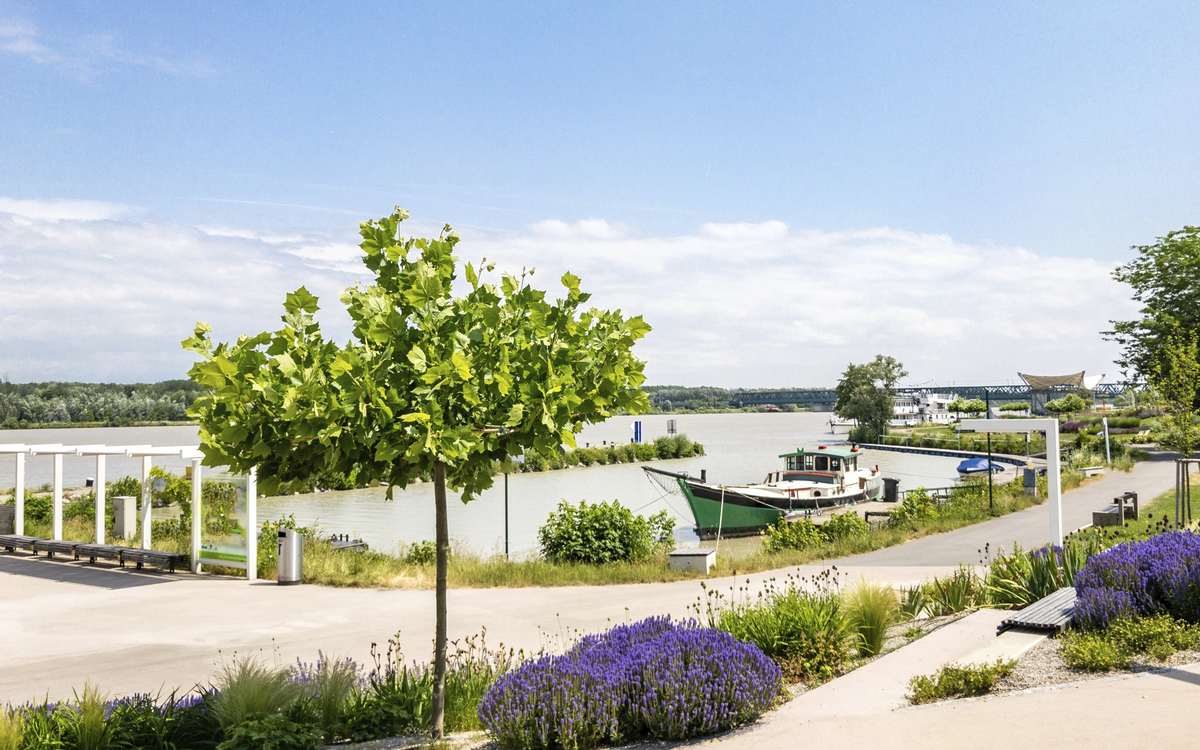 Tulln in Niederösterreich