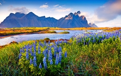 Stokksnes-Landspitze