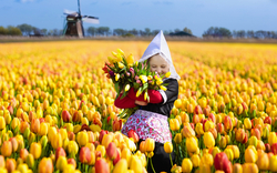 Zaanse Schans in den Niederlanden