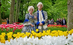 Keukenhof in den Niederlanden