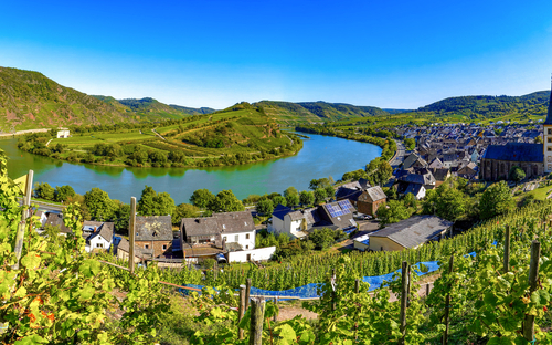 Moselschleife bei Bremm