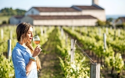 Weinverkostung in der Bordeaux-Region