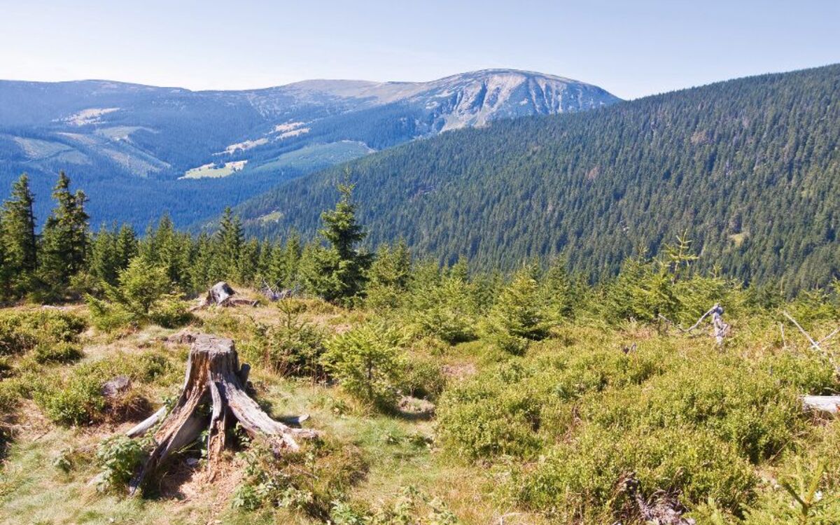 Panorama Riesengebirge