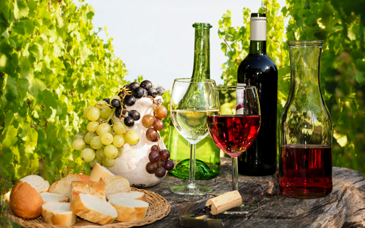 Weinverkostung im Weinberg