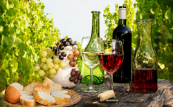 Weinverkostung im Weinberg