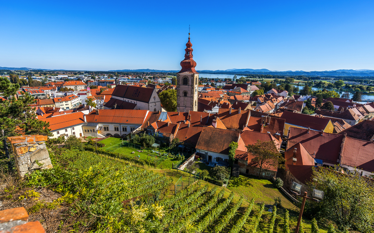 Ein Blick auf die Weinberge und das Zentrum der Stadt Ptuj