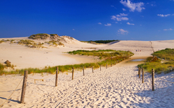 Wanderdünen von Leba