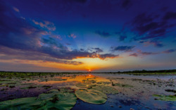 Sonnenuntergang an der Donau-Delta