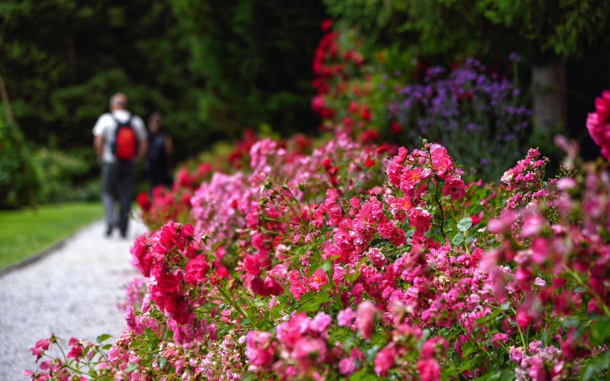 Arboretum Volcji Potok