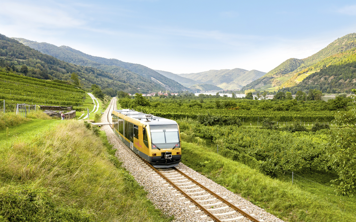 WHB;Sommer;außen;Lok;Donau;Weingärten