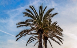 Strand von Pineda De Mar