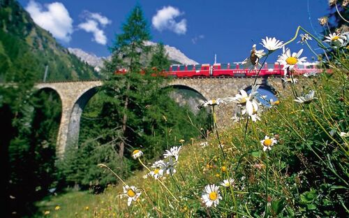 Bernina Express