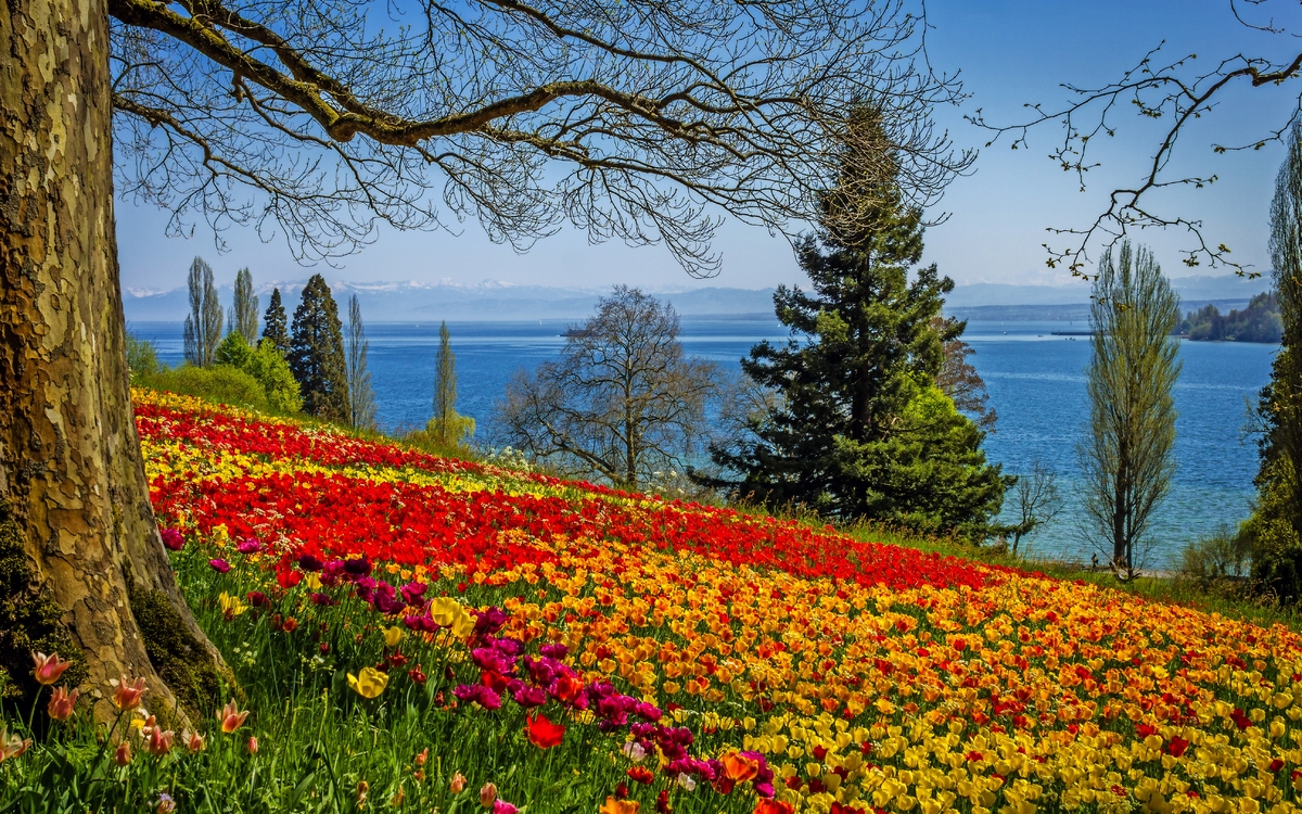Insel Mainau im Bodensee, Deutschland