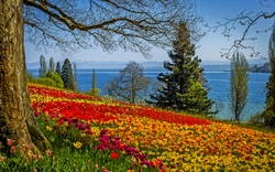 Insel Mainau im Bodensee, Deutschland