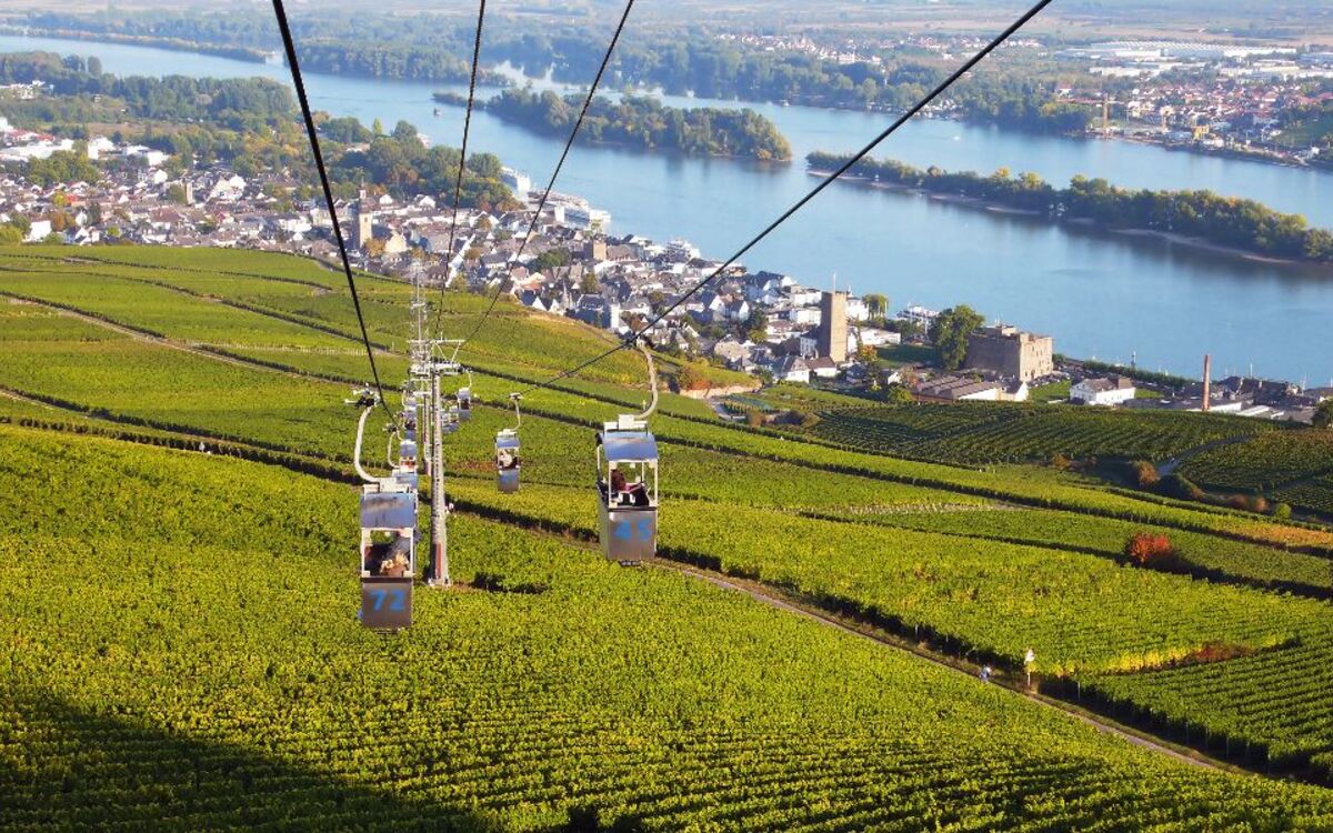 Blick aus der Seilbahn nach Rüdesheim