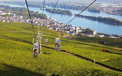Blick aus der Seilbahn nach Rüdesheim