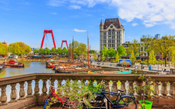 Blick auf Oude Haven in Rotterdam