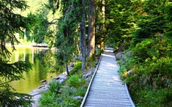 Holzsteg am Mummelsee im Schwarzwald, Deutschland