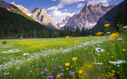 Südtirol mit Blick auf die Berge