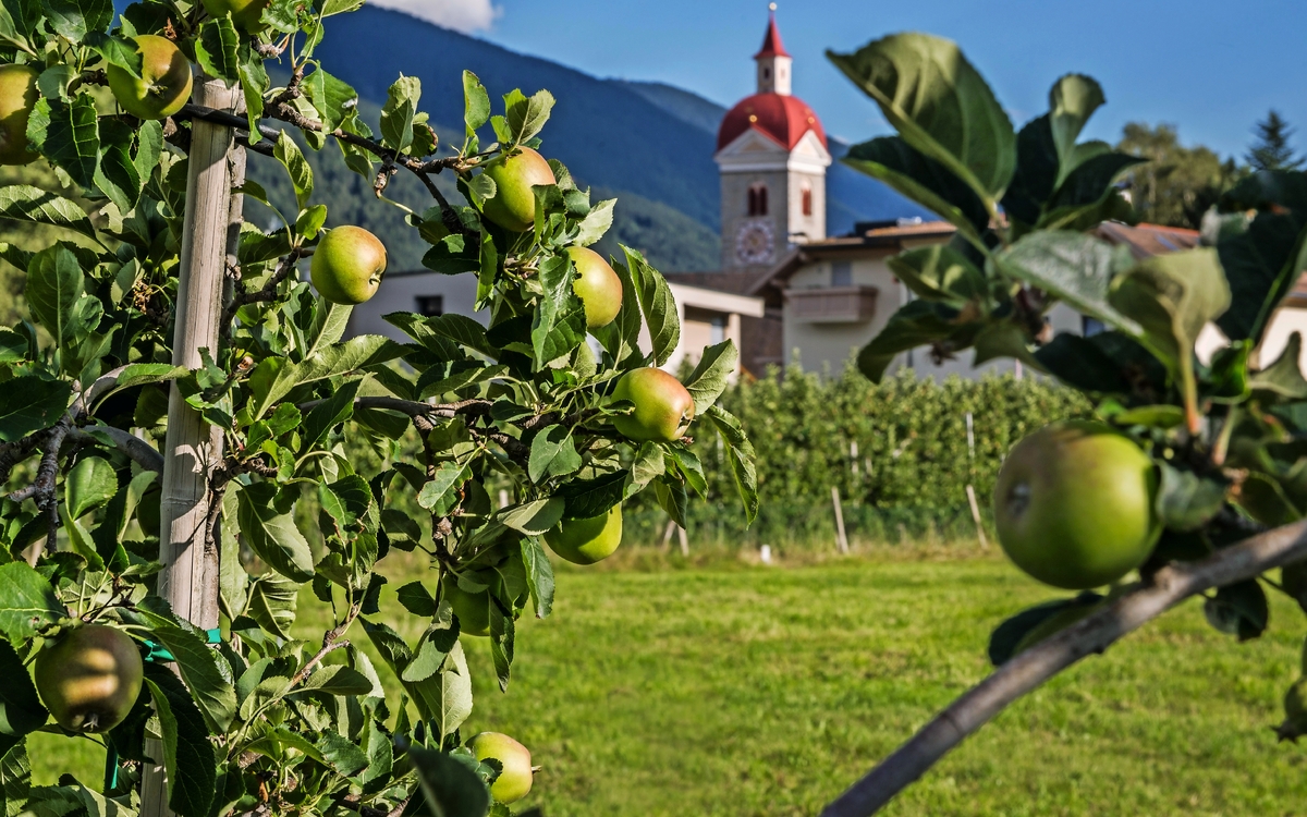 Blick auf die Kirche von Natz