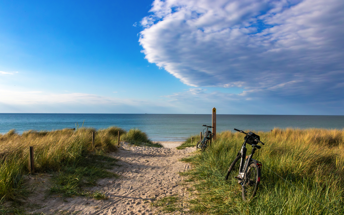 Weg zum Strand an der Ostsee in Zingst