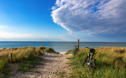 Weg zum Strand an der Ostsee in Zingst