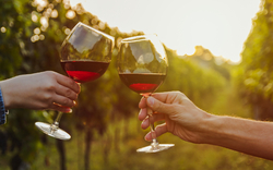 Rotwein in einem Weinberg während des Sonnenuntergangs
