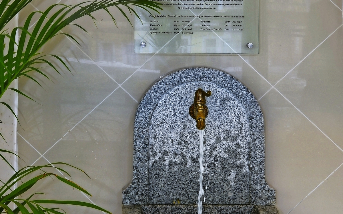 Spa Hotel Svoboda Heilquelle