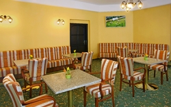 Spa Hotel Svoboda Lobby-Bar