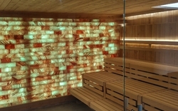 Biosauna