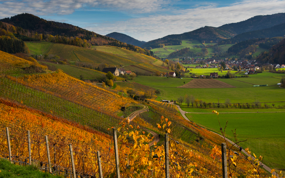herbstliches Glottertal im Schwarzwald