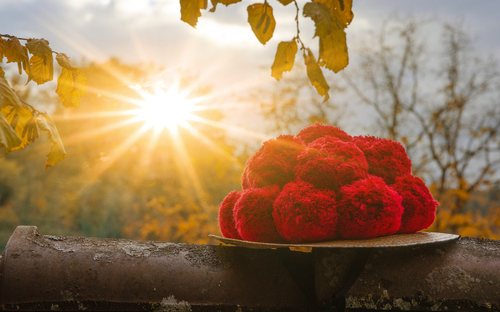 Schwarzwälder Bollenhut angestrahlt von der Sonne im Herbst