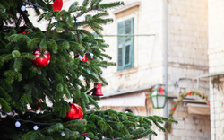 Weihnachtsbaum mit roten Kugeln in Porec
