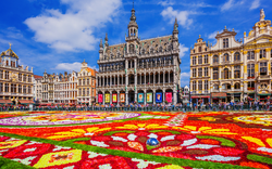 Blumenteppich auf dem Grote Markt in Brüssel