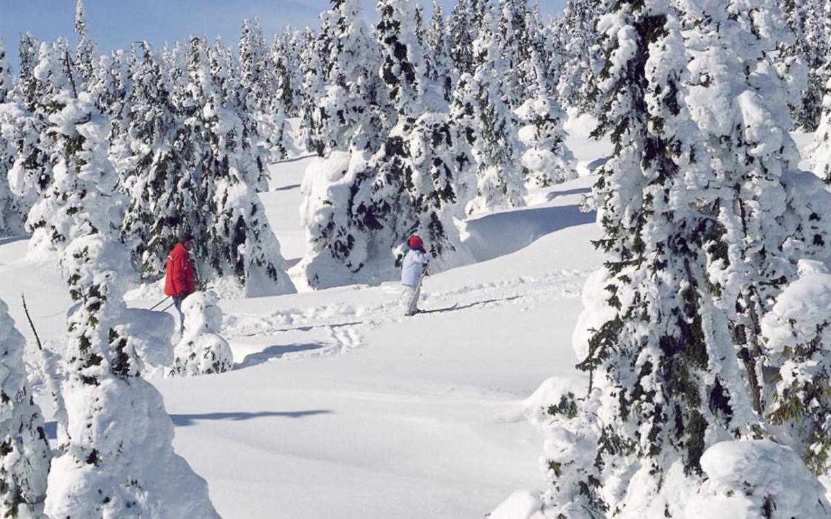 Winterlandschaft an der Schneekoppe