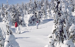 Winterlandschaft an der Schneekoppe